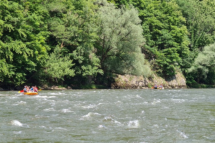 školní výlet řeka Váh peřeje
